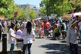 Crowd at the National Multicultural Festival