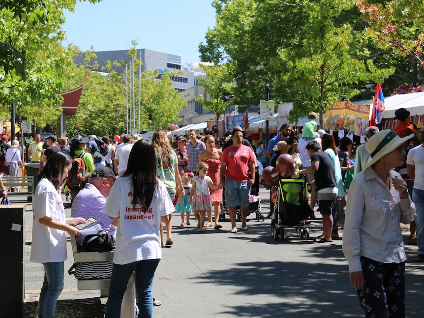 Crowd at the National Multicultural Festival