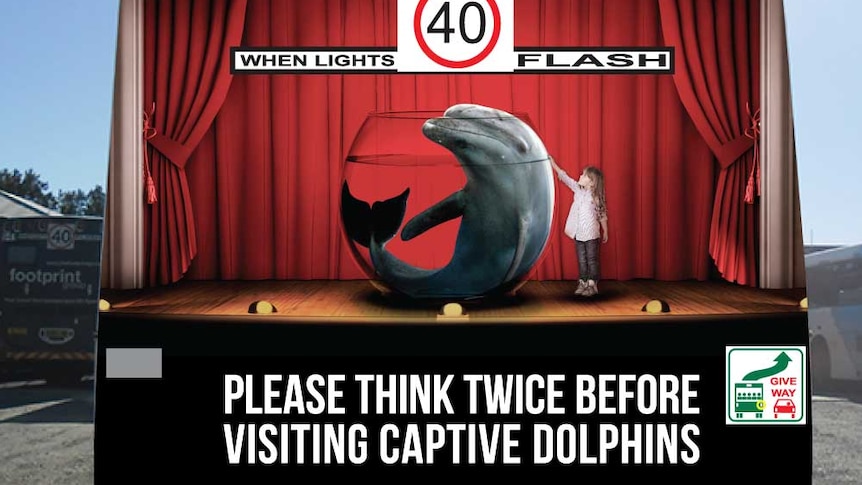 Bus with ad depicting a dolphin in a fishbowl and a young girl with words Please think twice before visiting captive dolphins