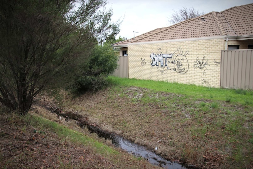 A stormwater drain bounded by fences covered in graffiti