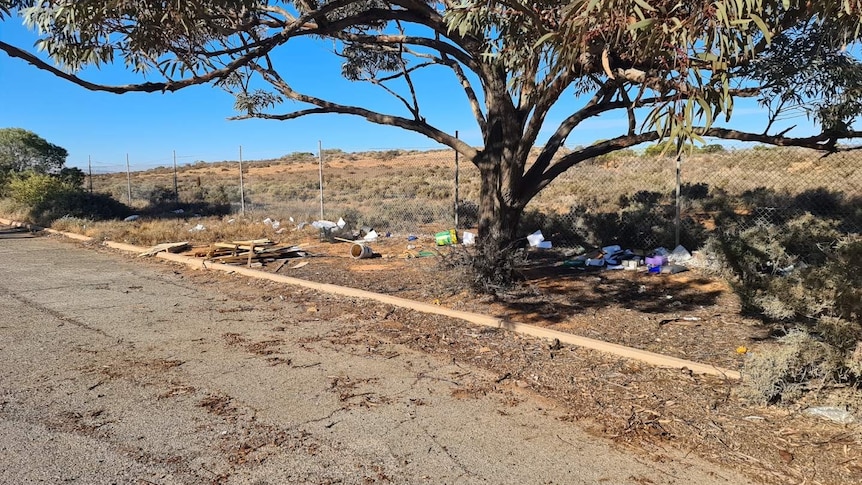 Rubbish scattered underneath a tree on the side of a road.