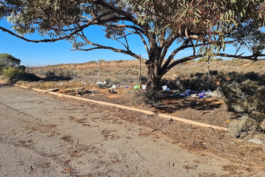 A photo showing rubbish scattered underneath a tree on the side of a road.
