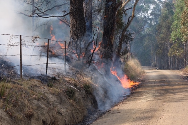 Fire at side of road in Glen Huon.