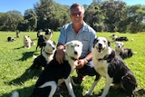 A man crouches surrounded by ten border collies. Peachester, April 2021.