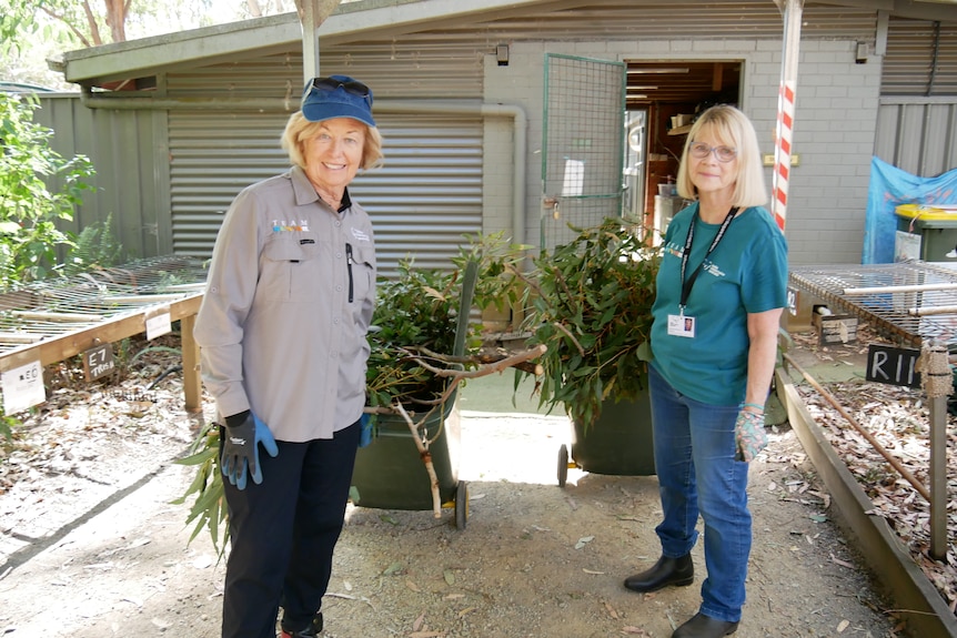 Two women standing in an undercover area outside a shed.