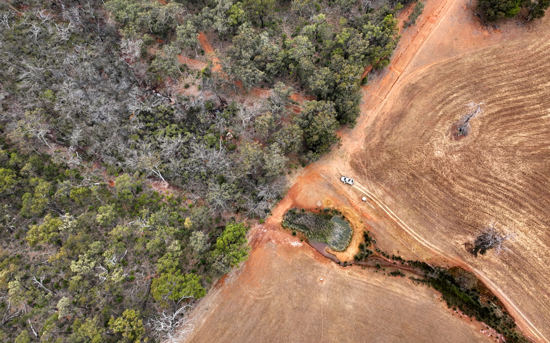 Una vista aérea de tierra roja y una incipiente línea de arbustos muestra dónde comenzó una nueva marca de agua en una propiedad en la Australia rural.