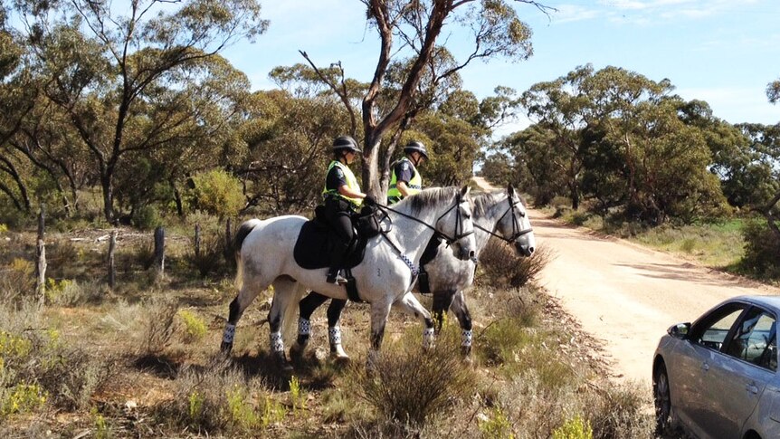 Police searchers on horseback near Mannum