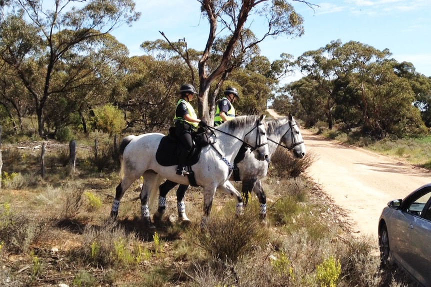 Police searchers on horseback near Mannum