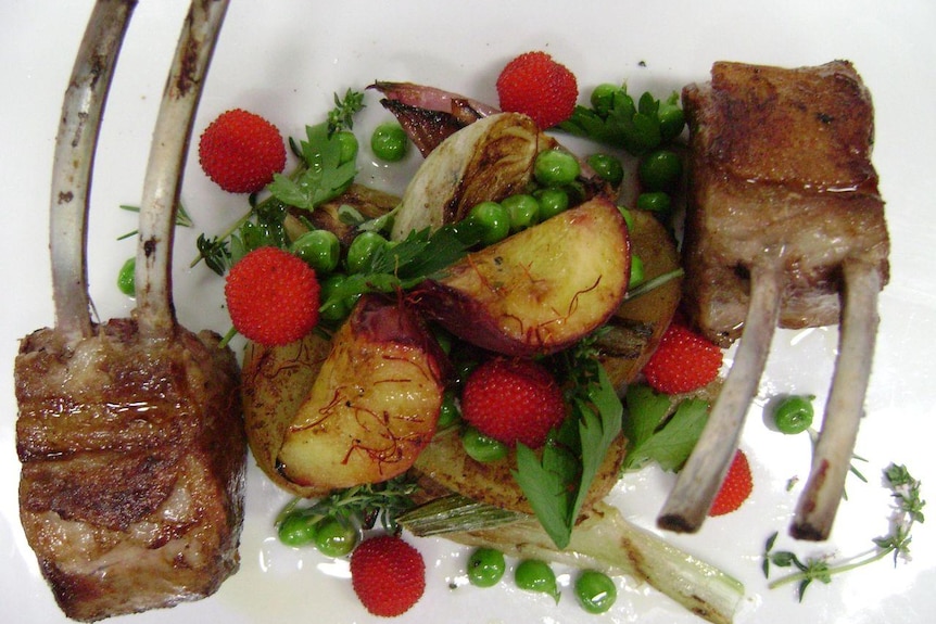 Lamb and vegetables on a plate.