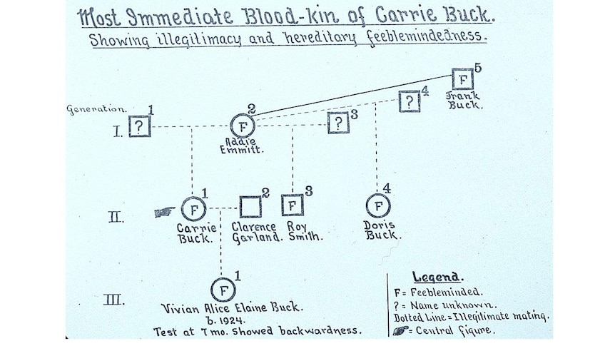 Eugenic chart for Carrie Buck's family