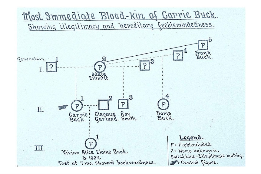 Eugenic chart for Carrie Buck's family