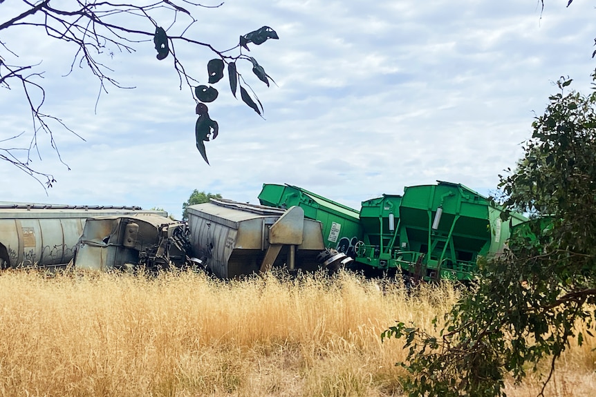 Freight train carriages in disarray after being derailed on a country rail line