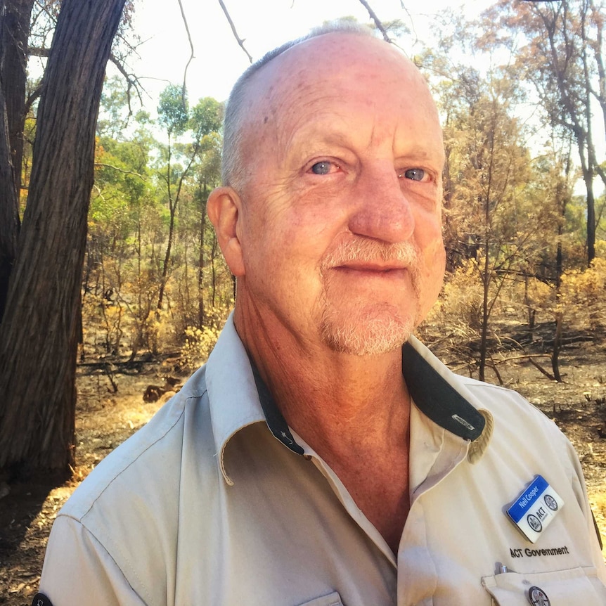 A man in an ACT Government Parks and Conservation uniform in front of a burn-off site.