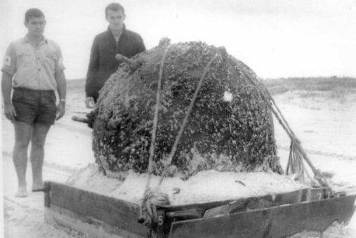The German mine is secured before being disarmed on a remote section of beach.