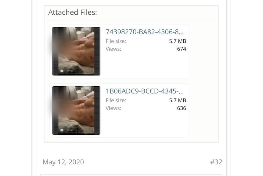 A screenshot showing two identical image files of part of a naked man's body. The image has been blurred.