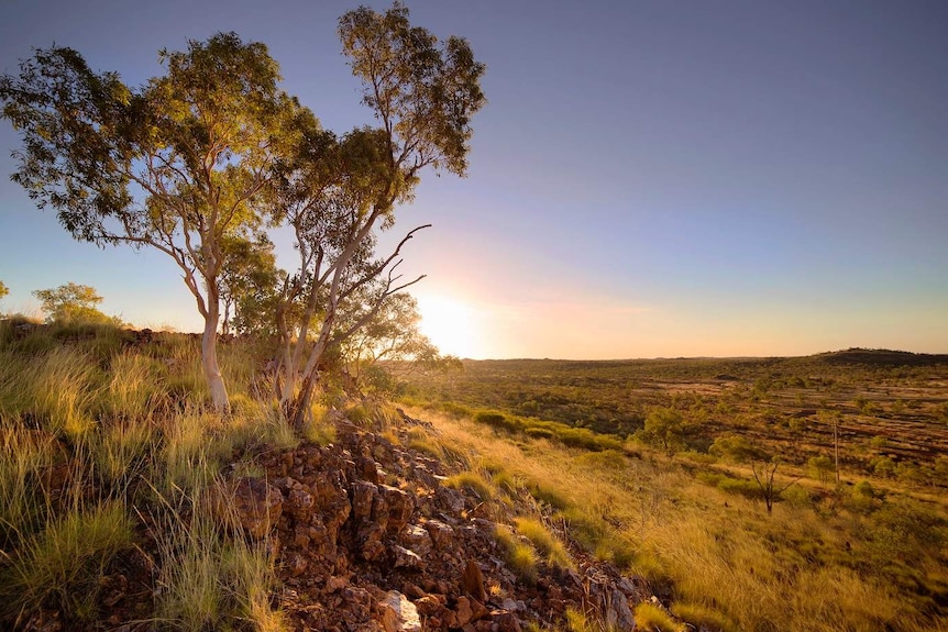 Chinaman Creek Dam Hill at sunrise.