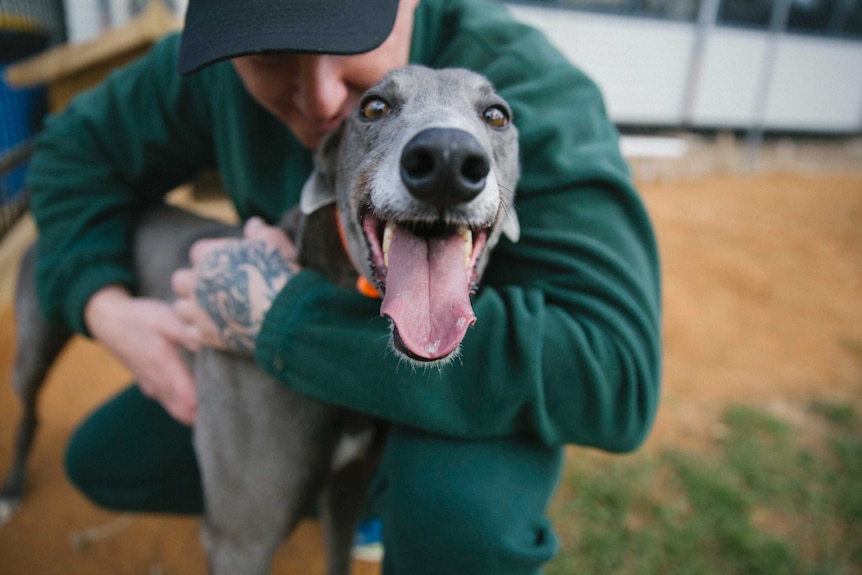 Snazzy the dog faces the camera with his tongue out, and is held by Dhurrungile prison inmate Daniel.