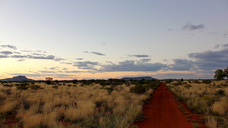 A red, dirt road leads to the rock holes at Kintore, NT. The holes are associated with dreaming stories.