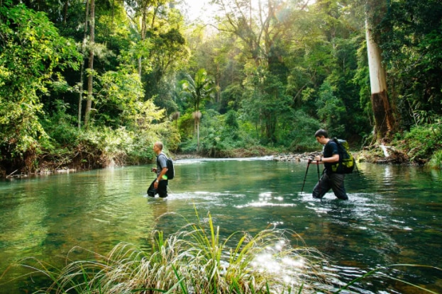 Two bush walkers crossing a stream in the Lamington National Park.
