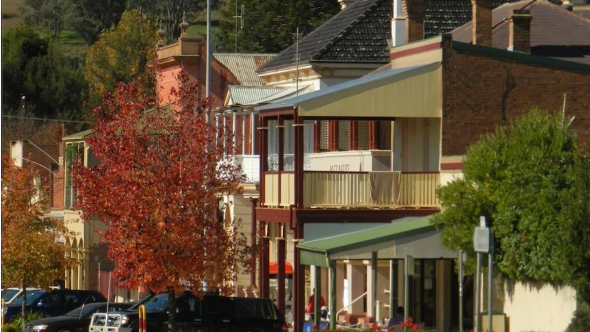 Shops and cars in the main street of Molong.