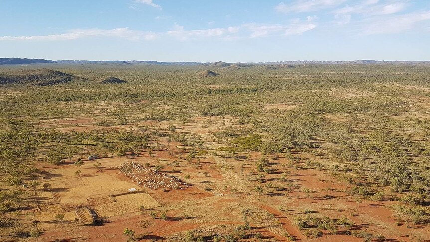 Brightlands Station from the air in Outback Queensland