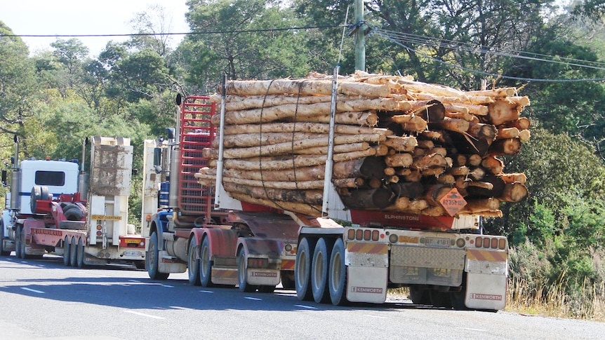 Truck hauls plantation timber