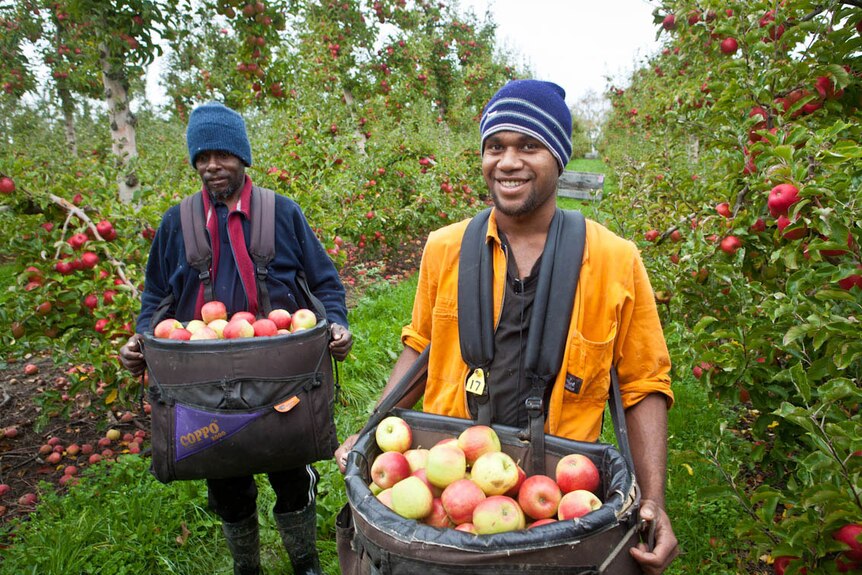 Two men hold baskets of apples in an orchard.