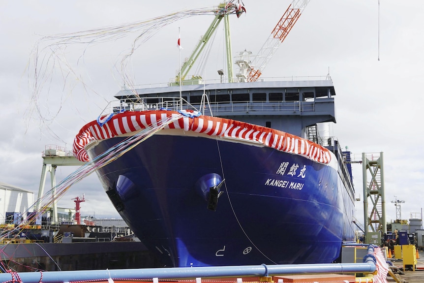 whaling mother ship Kangei Maru