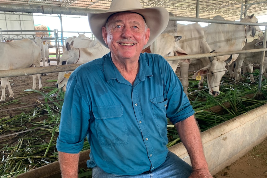 Photo of an older man with a hat standing in front of cattle in a pen.