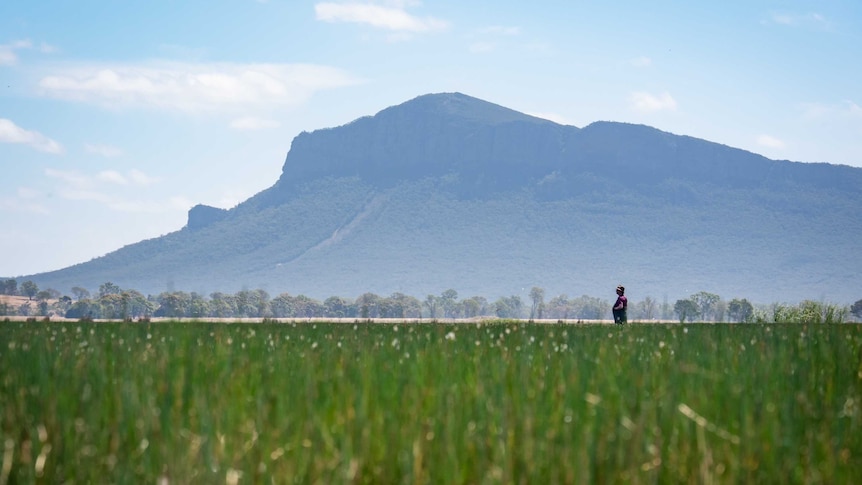 A man stands in a wetland with a mountain in the background.
