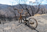 A burned bike sits discarded atop a desolate hill in Namadgi National Park.