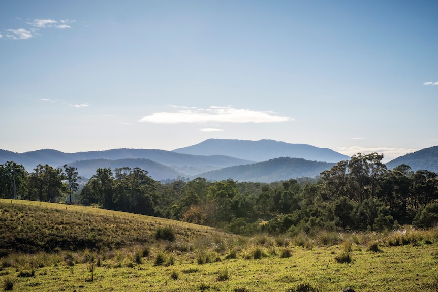 A wide shot of green hills and misty mountains in the background.