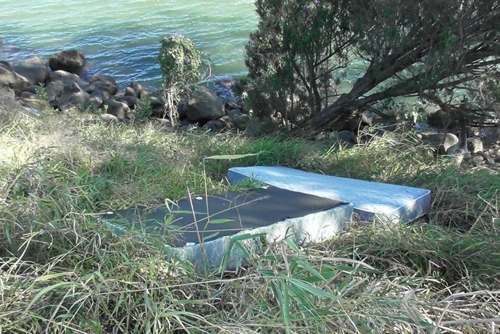 mattresses laying in grass next to the burnett river