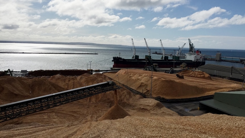 Woodchips piled up at the port of Portland in western Victoria.