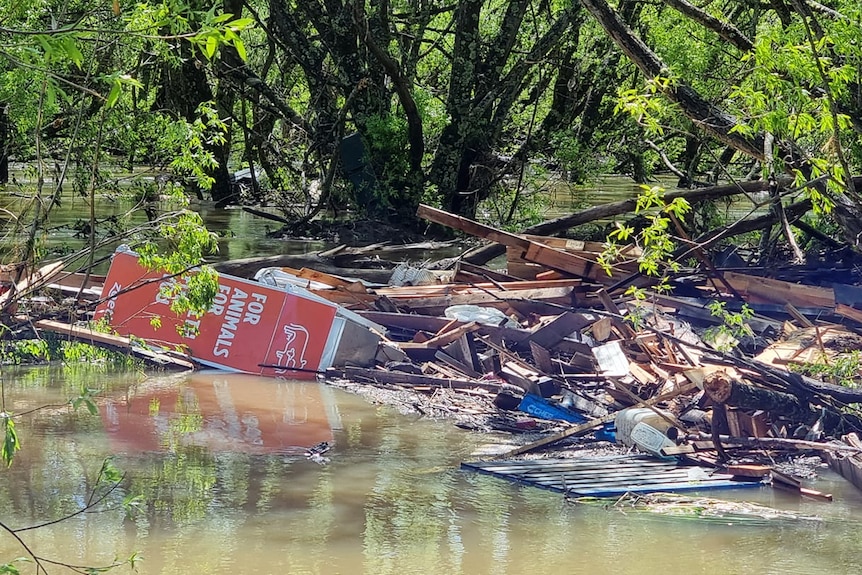 Flood debris washed up on a river bank