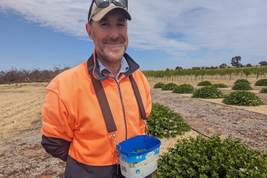 Dave, a fair-skinned middle-aged man, in high vis jacket and cap has a lanyard with ice cream bucket of capers