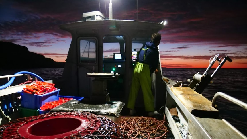 Hopes grow for revival of $700 million live lobster trade