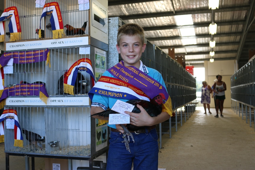 A young boy standing draped in show ribbons holds a black bird and prize certificates in the show poultry pavilion.