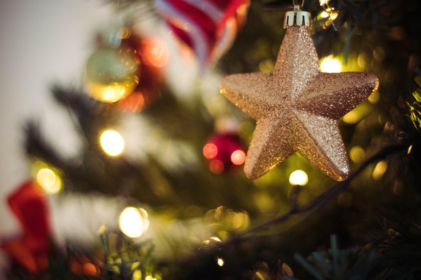 A glitter gold star ornament hangs on the branch of a Christmas tree.