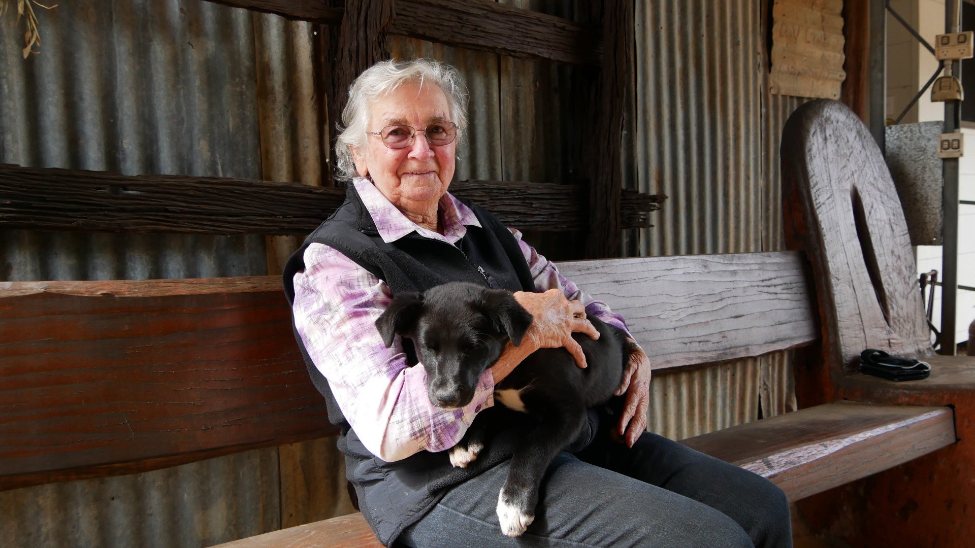 An elderly woman with white hair sits on a bench in front of a corrugated iron wall, she holds a black puppy. 