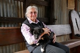 An elderly woman with white hair sits on a bench in front of a corrugated iron wall, she holds a black puppy. 