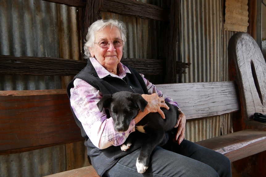 An elderly woman with white hair sits on a bench in front of a corrugated iron wall, she holds a black puppy. 
