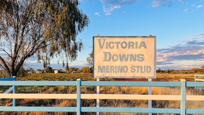 A sign reading Victoria Downs Merino Stud stands behind a blue and white fence