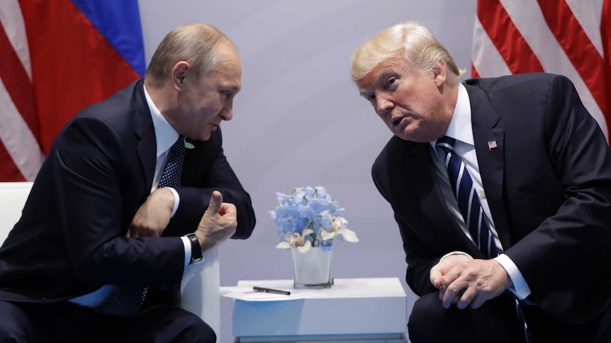 Donald Trump and Vladimir Putin lean over the arms of their chairs during a meeting in the G20.