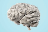 An origami brain made of paper with printed writing on it.