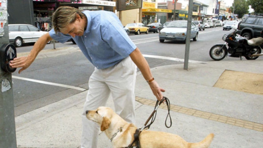 A recent survey showed one in three guide dog owners were turned away by taxi drivers.