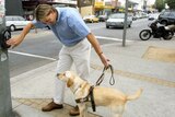 A recent survey showed one in three guide dog owners were turned away by taxi drivers.