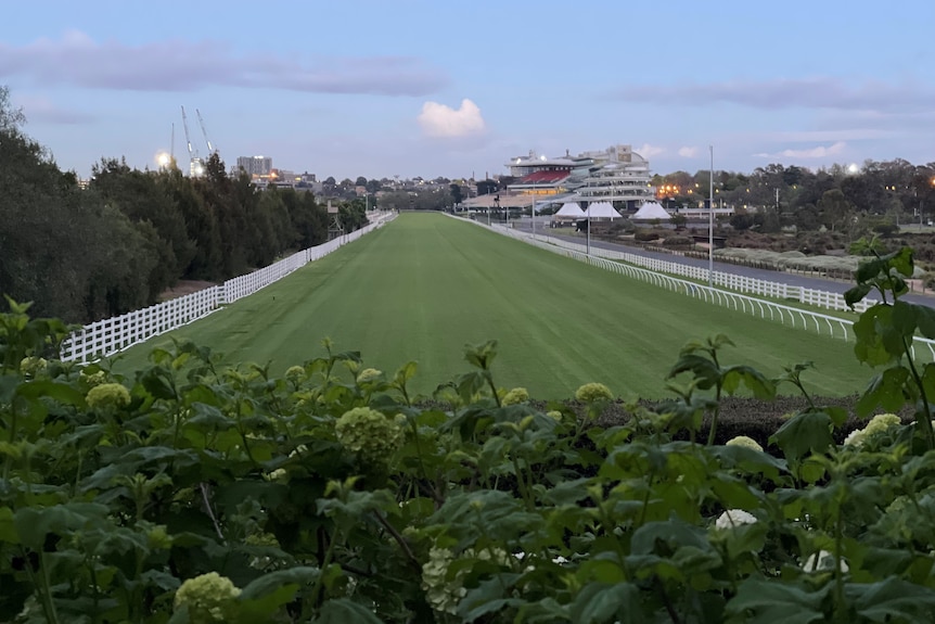 An empty home straight of Flemington Racecoure on an early October morning.