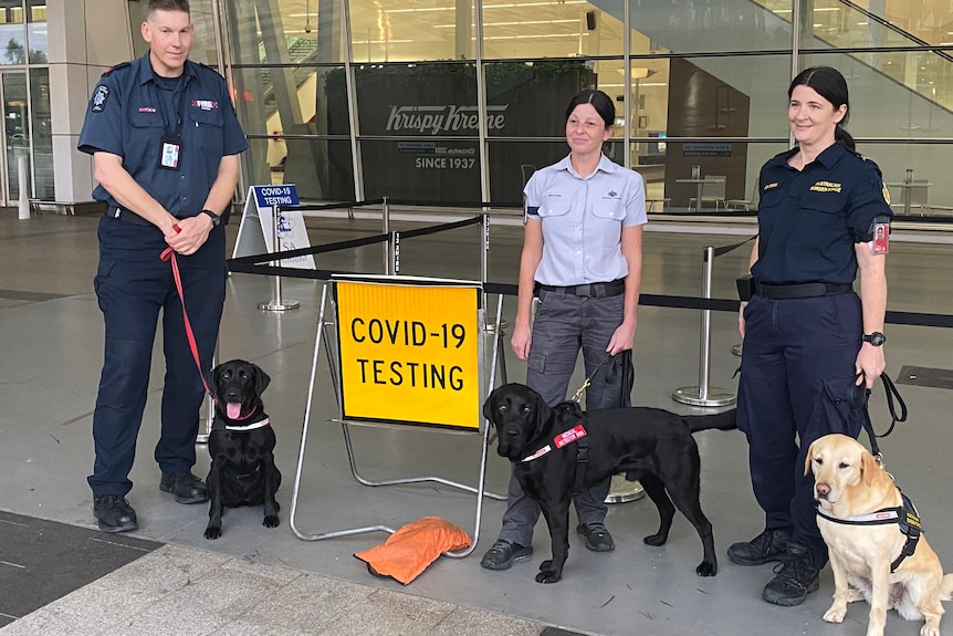 Detector dogs and handlers at Adelaide Airport.