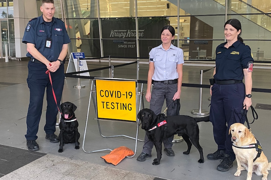 Chiens détecteurs et maîtres à l'aéroport d'Adélaïde.